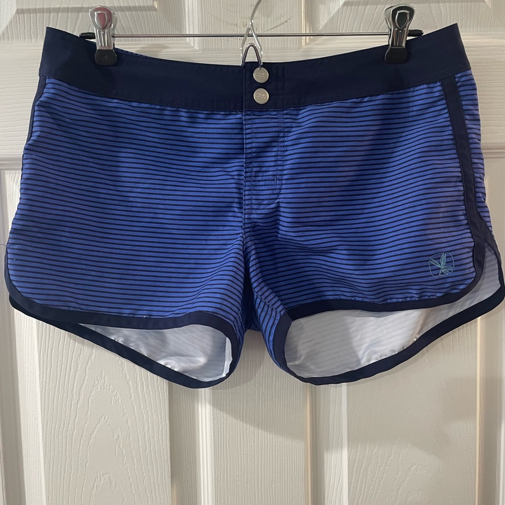 Carve Designs Blue Striped Surf Shorts